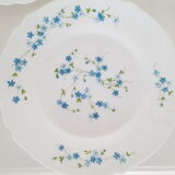 6 flat plates Myosotis veronica Arcopal