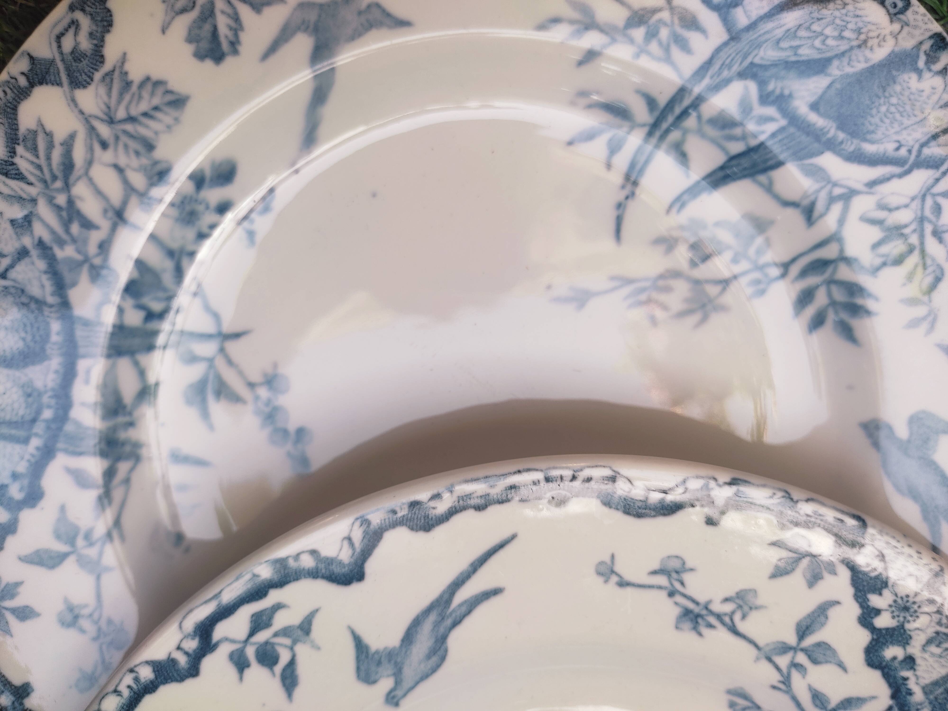 7 plates in earthenware with bird motifs by Lunéville