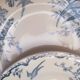 7 plates in earthenware with bird motifs by Lunéville