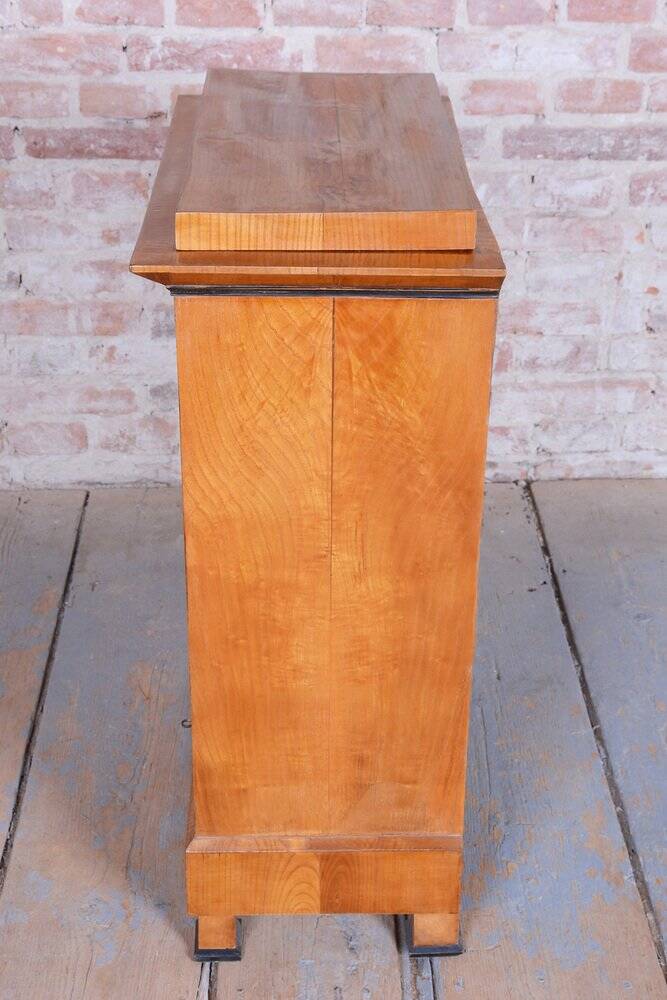 Small Antique Biedermeier Cabinet in Ash and Spruce, 1830s