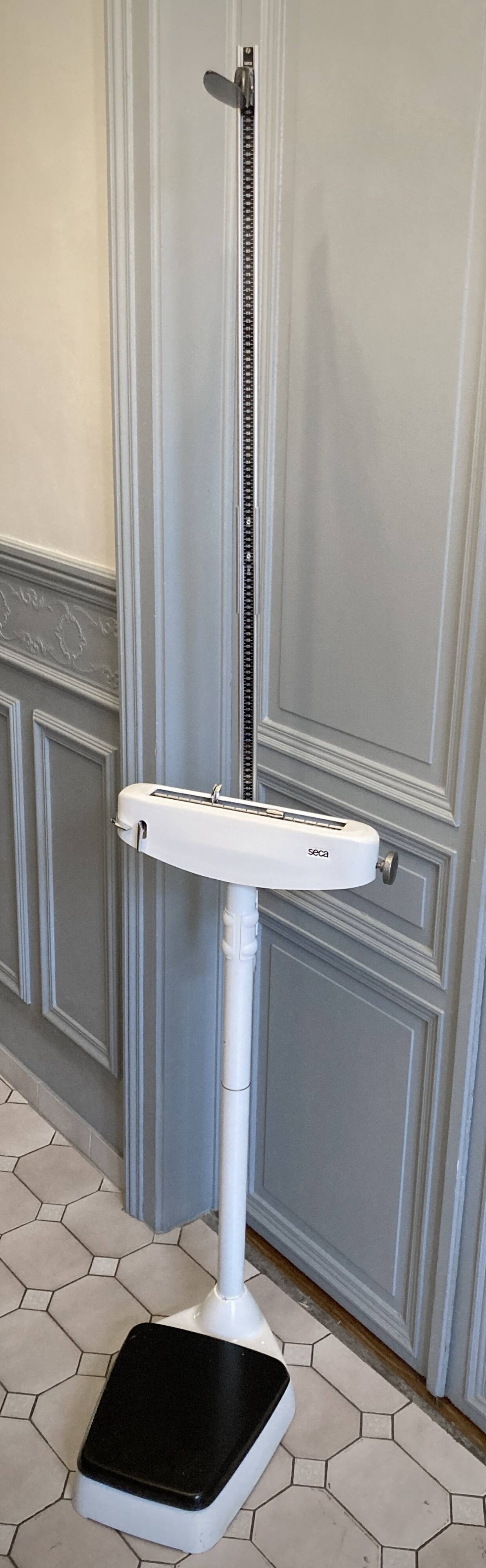 Personal scale and medicine measuring rod