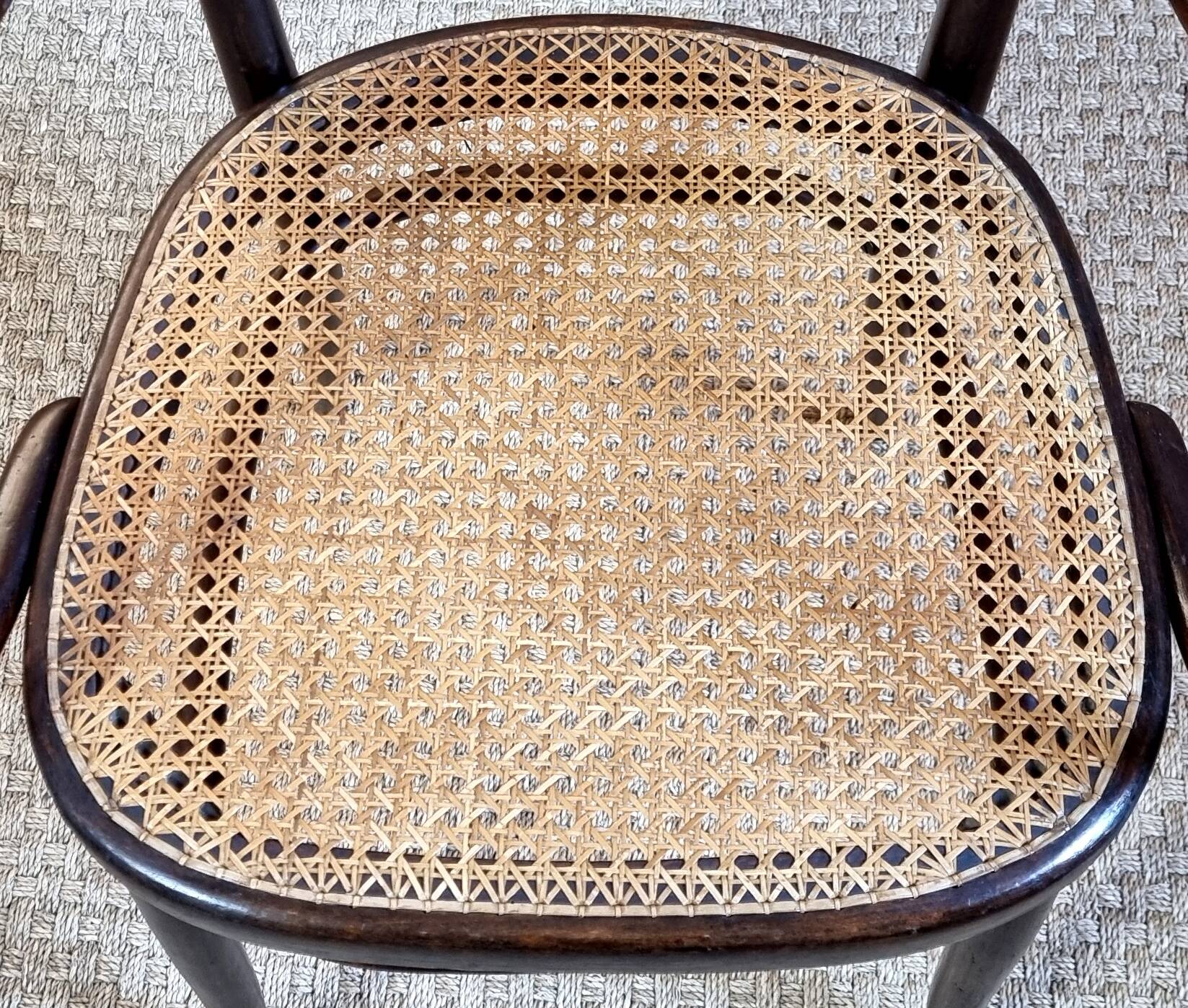 Fischel Jugendstil bistro armchair in curved wood, Thonet period