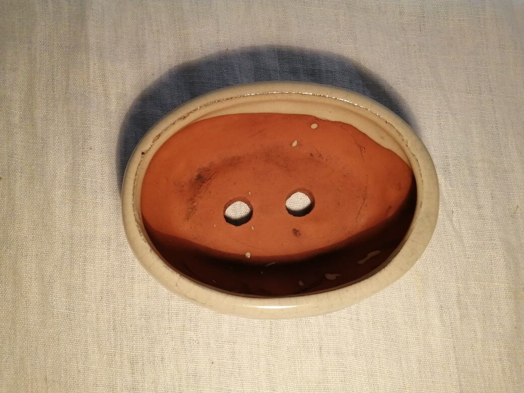 Bonzai Enameled Terracotta Pot Indoor Plant
