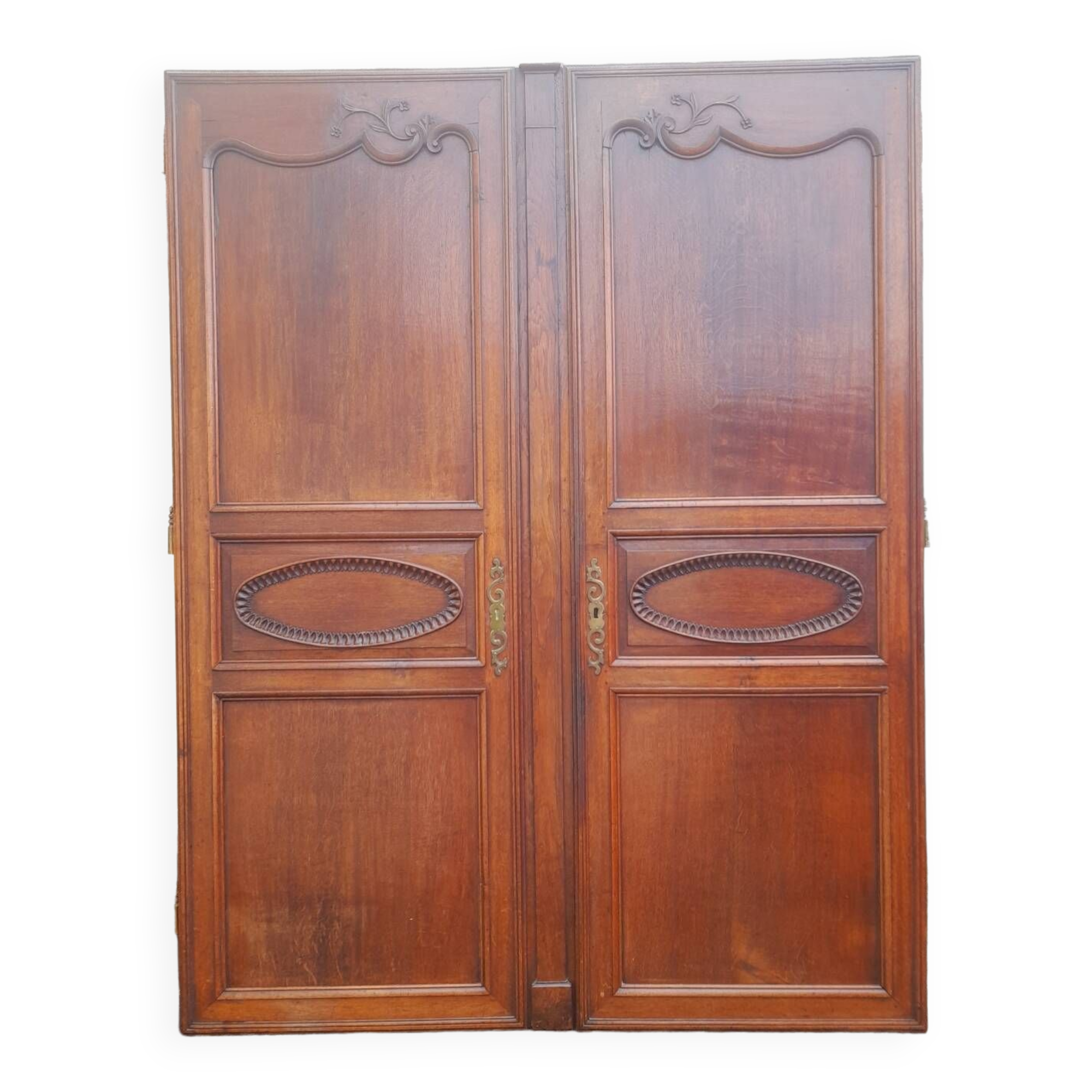 Pair of carved oak cabinet doors