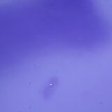 Chaise papillon série 7 d'Arne Jacobsen