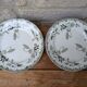 Set of 2 small ironstone plates Saint Amand and Hamage Modern Style model