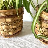 Rattan pot holders