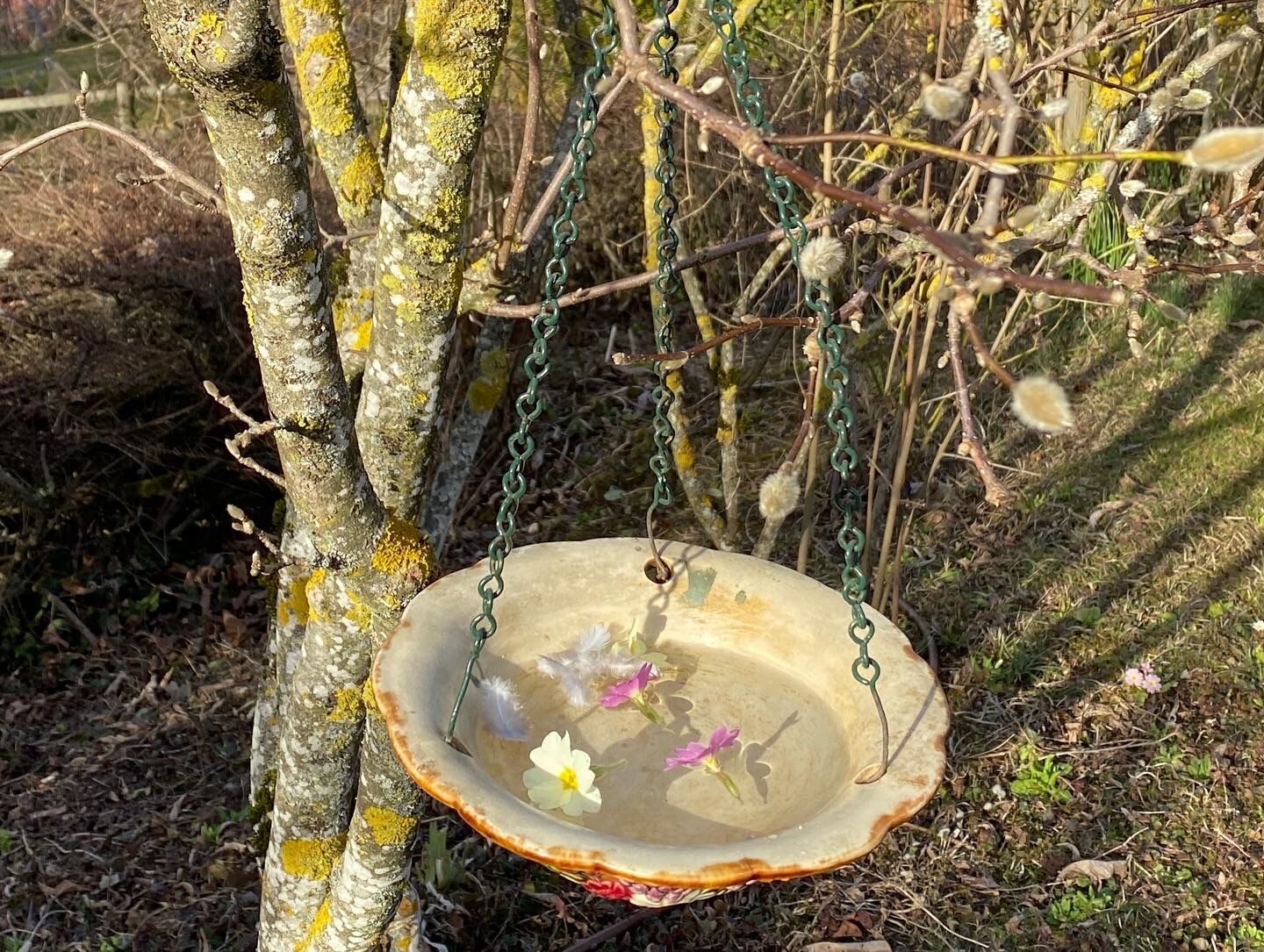 Drinking trough or floral cup in slurry