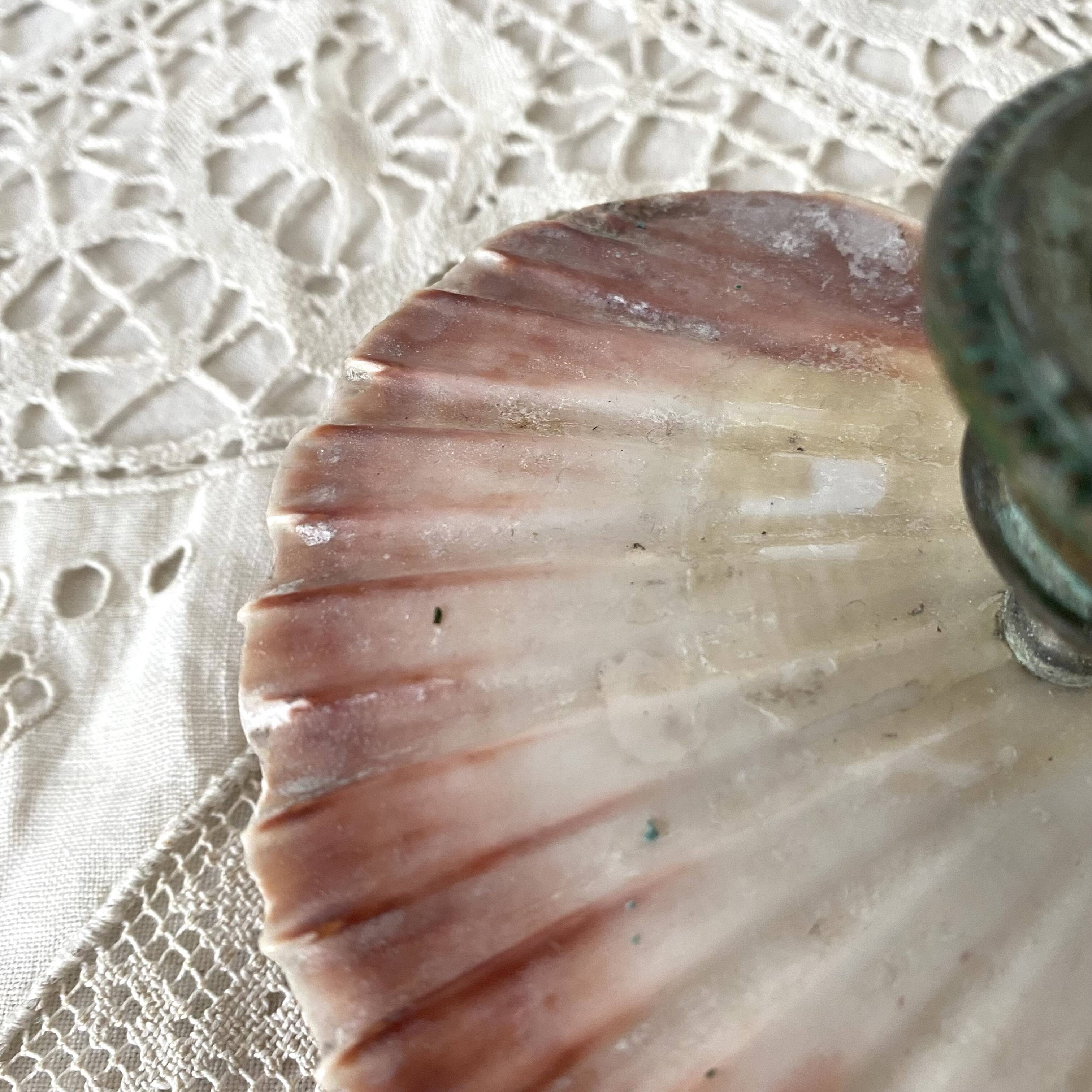 Scallop shell and lion paws candle holder
