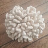 Hard white coral block, 70s