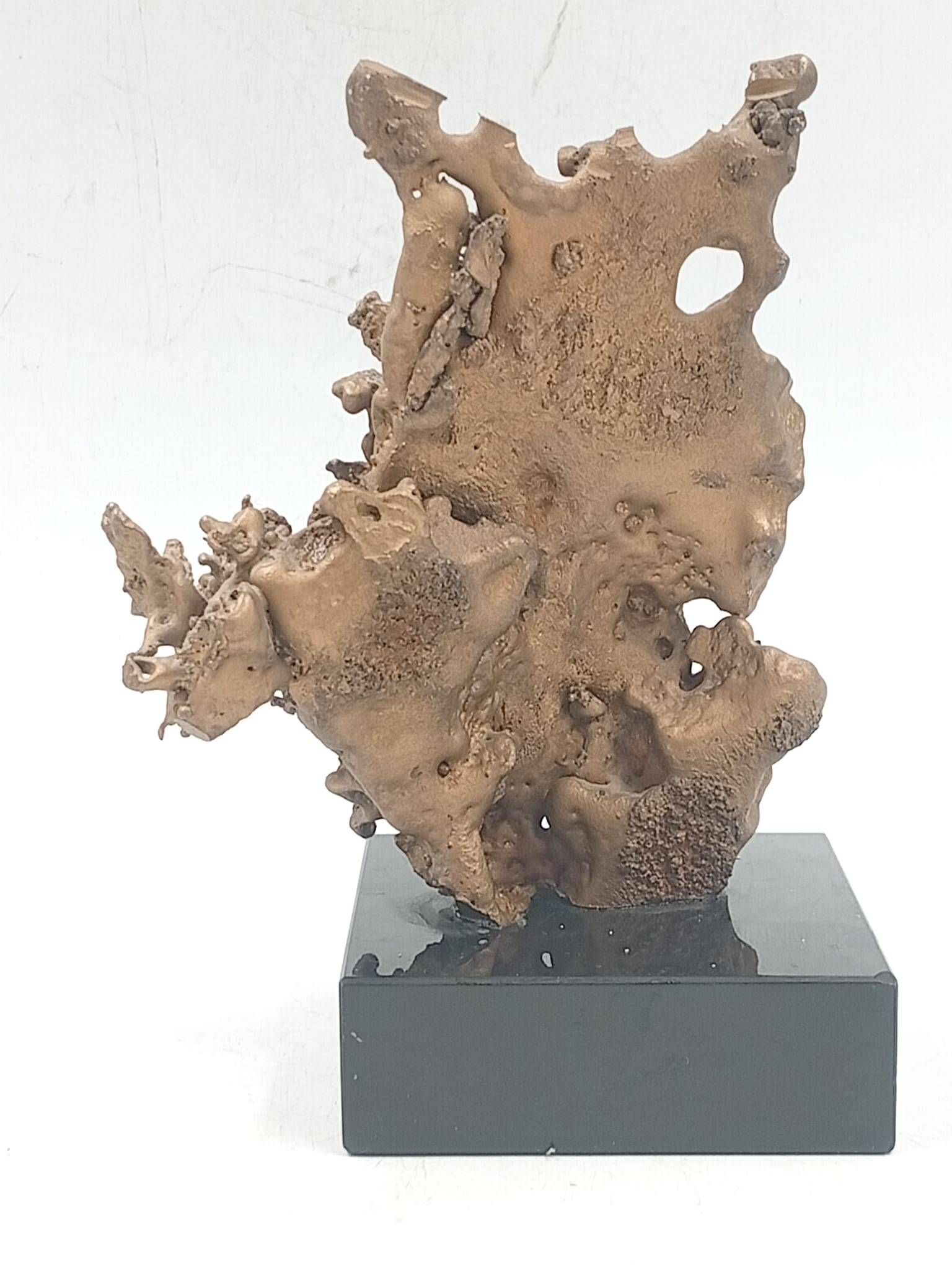 Organic Sculpture Brutalist Modernist Midcentury Gilded Bronze Casting
