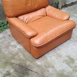 Fauteuil en cuir marron