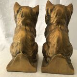 Chatons bookends