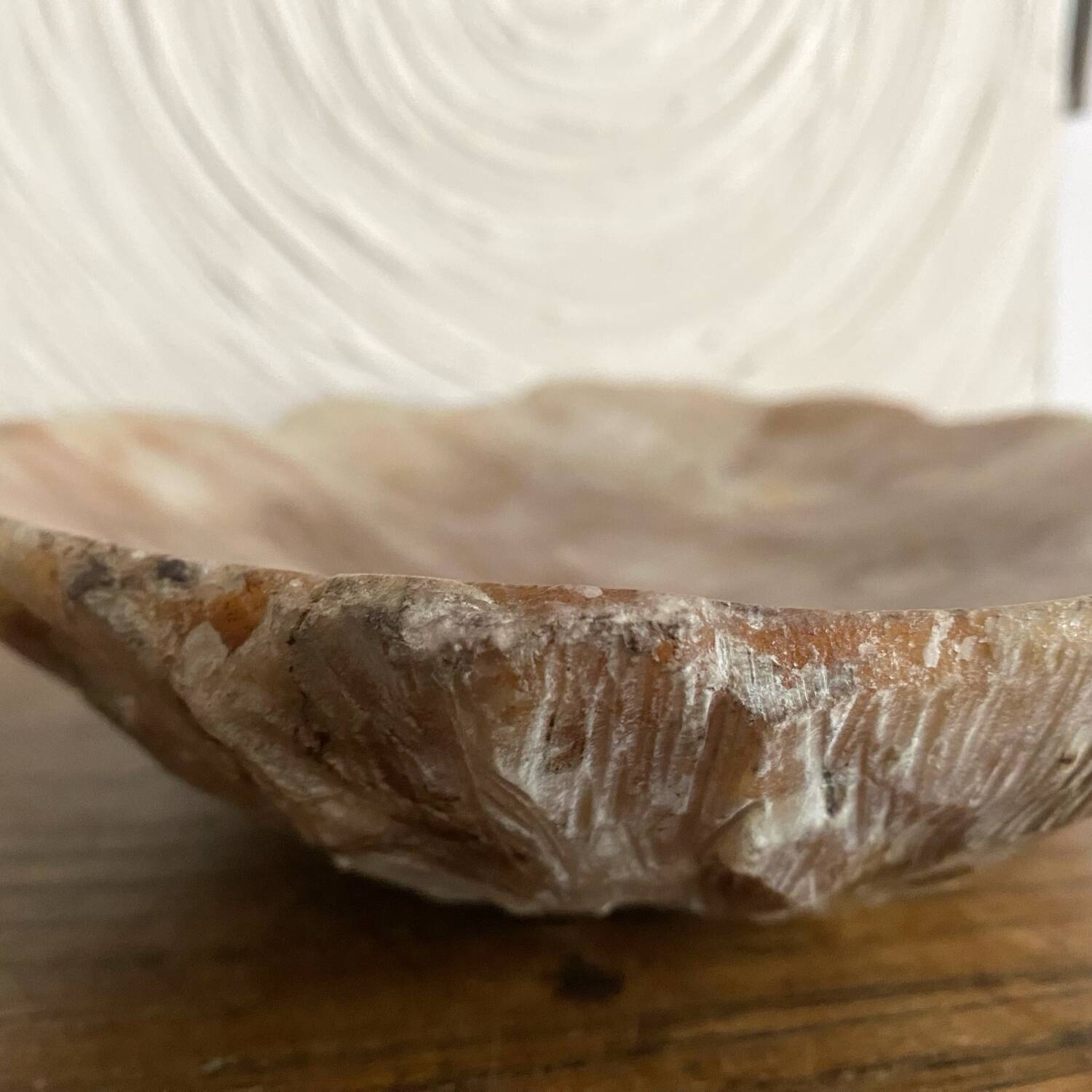 Cup, centerpiece in alabaster, Italy