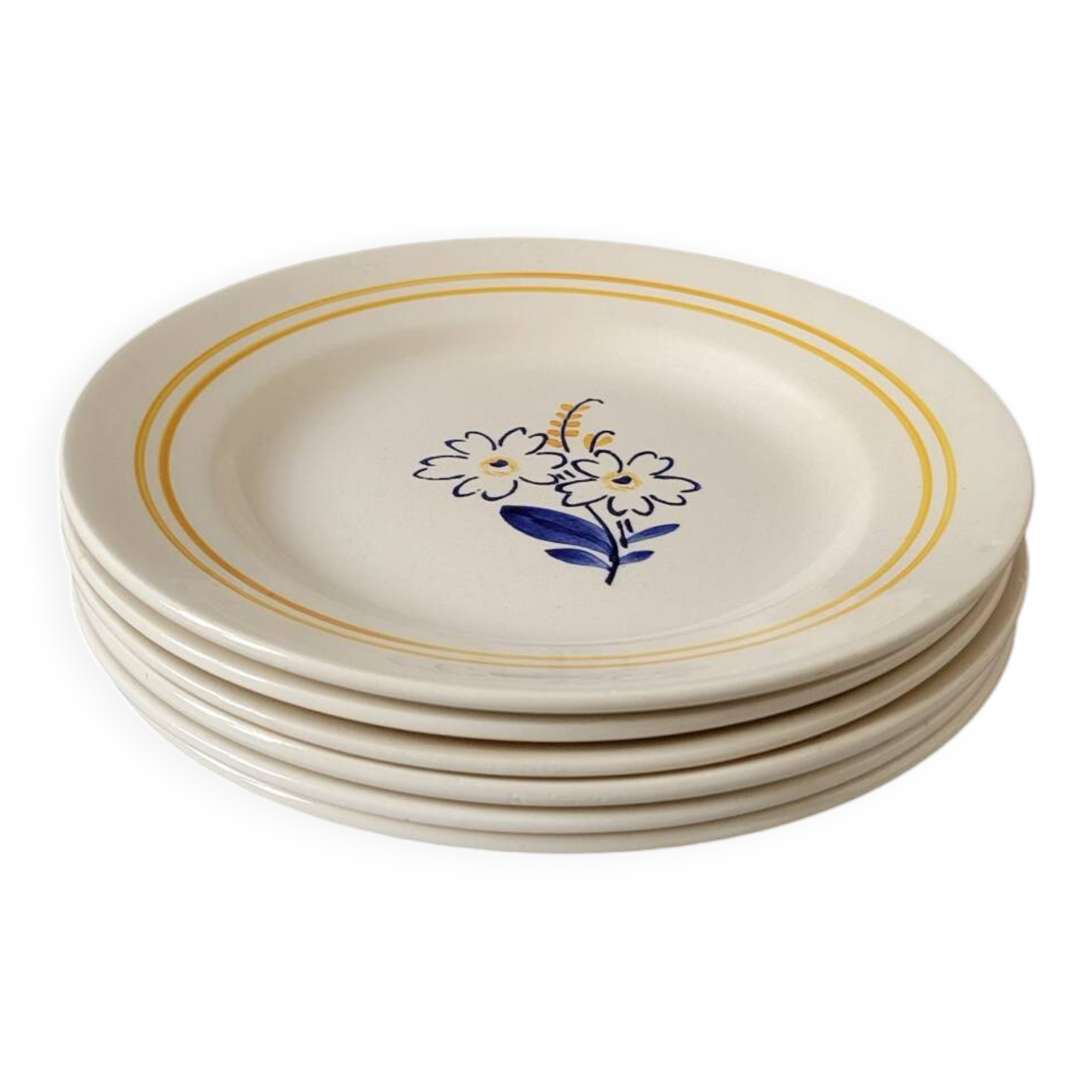 6 floral dinner plates