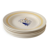 6 floral dinner plates