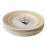 6 assiettes plates fleuries
