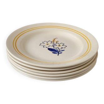 6 floral dinner plates