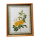 Affiche botanique ancienne Rosa Eglanteria