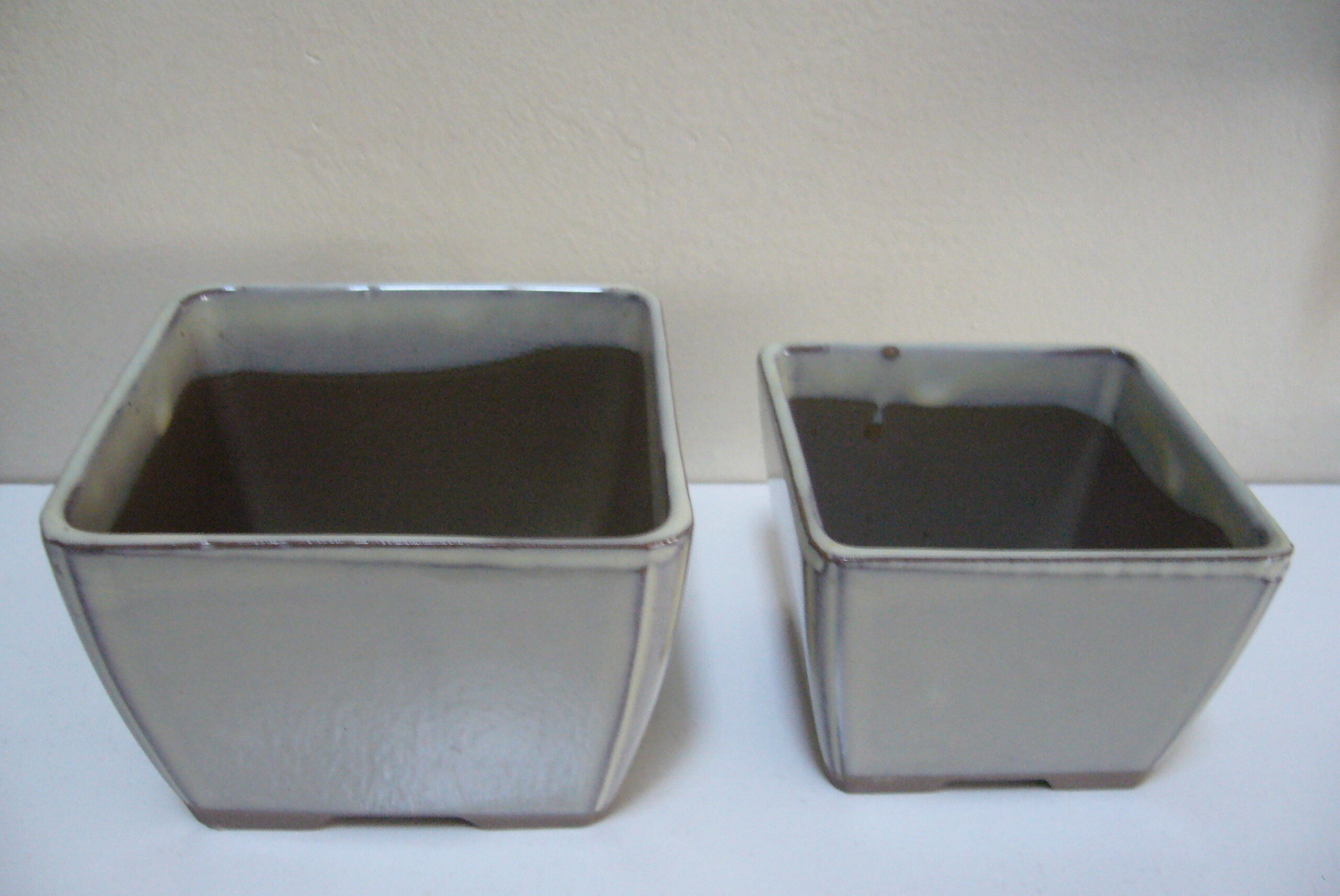 Set of 4 square ceramic cactus or succulent pots