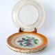 Set of 4 Sarreguemines earthenware plates, early 20th century