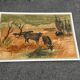 Large old painting signed K. Chamby - Scene of bulls / manade in Camargue