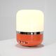 Radio lamp designed by Adriano Rampoldi for Europhon, Italy 1970s.