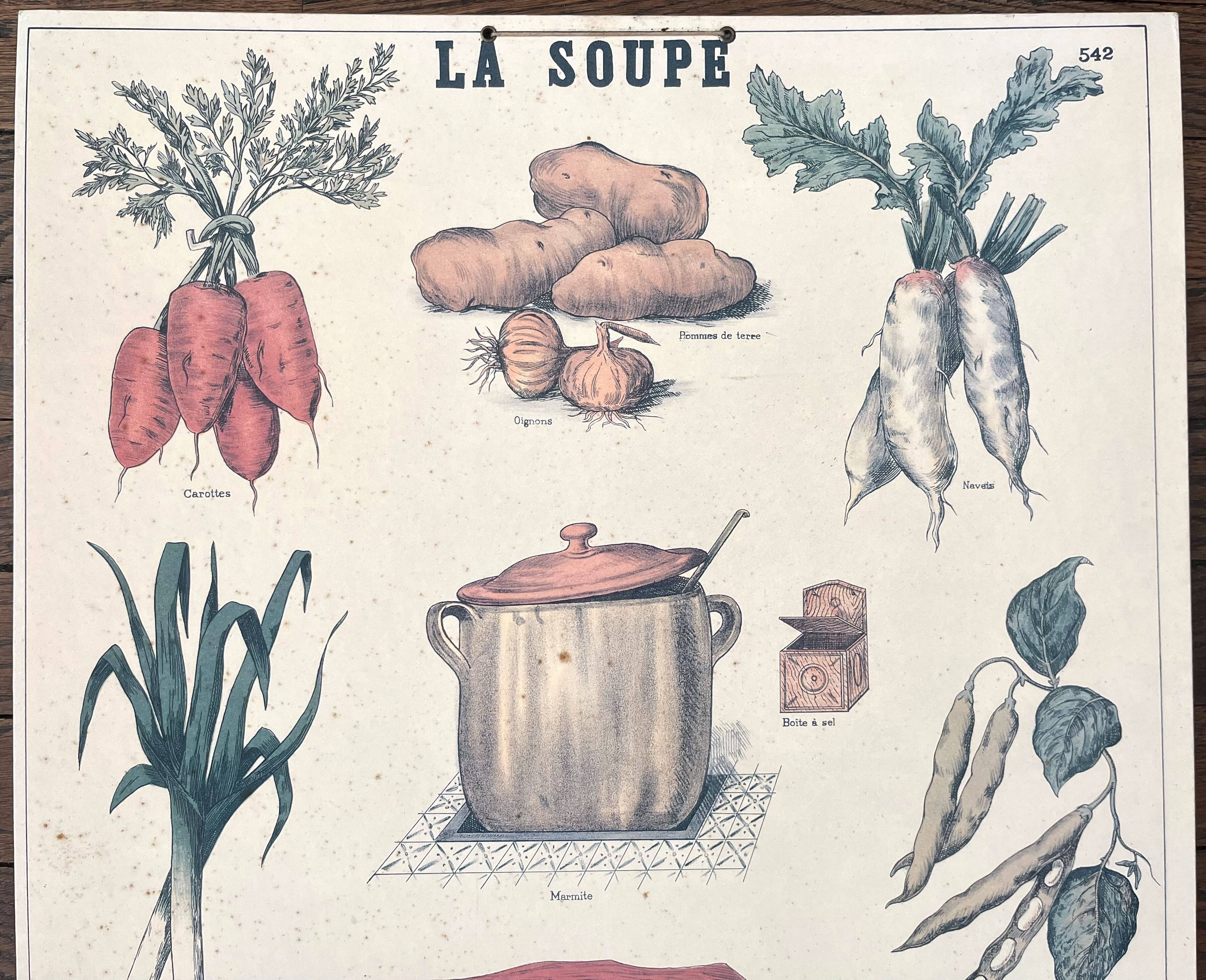 🥕 Ancienne affiche scolaire Deyrolle originale, 542, 1950 - La soupe, les