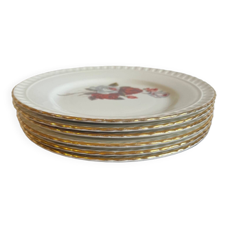 6 assiettes plates porcelaine de Gien décor R.Busfield