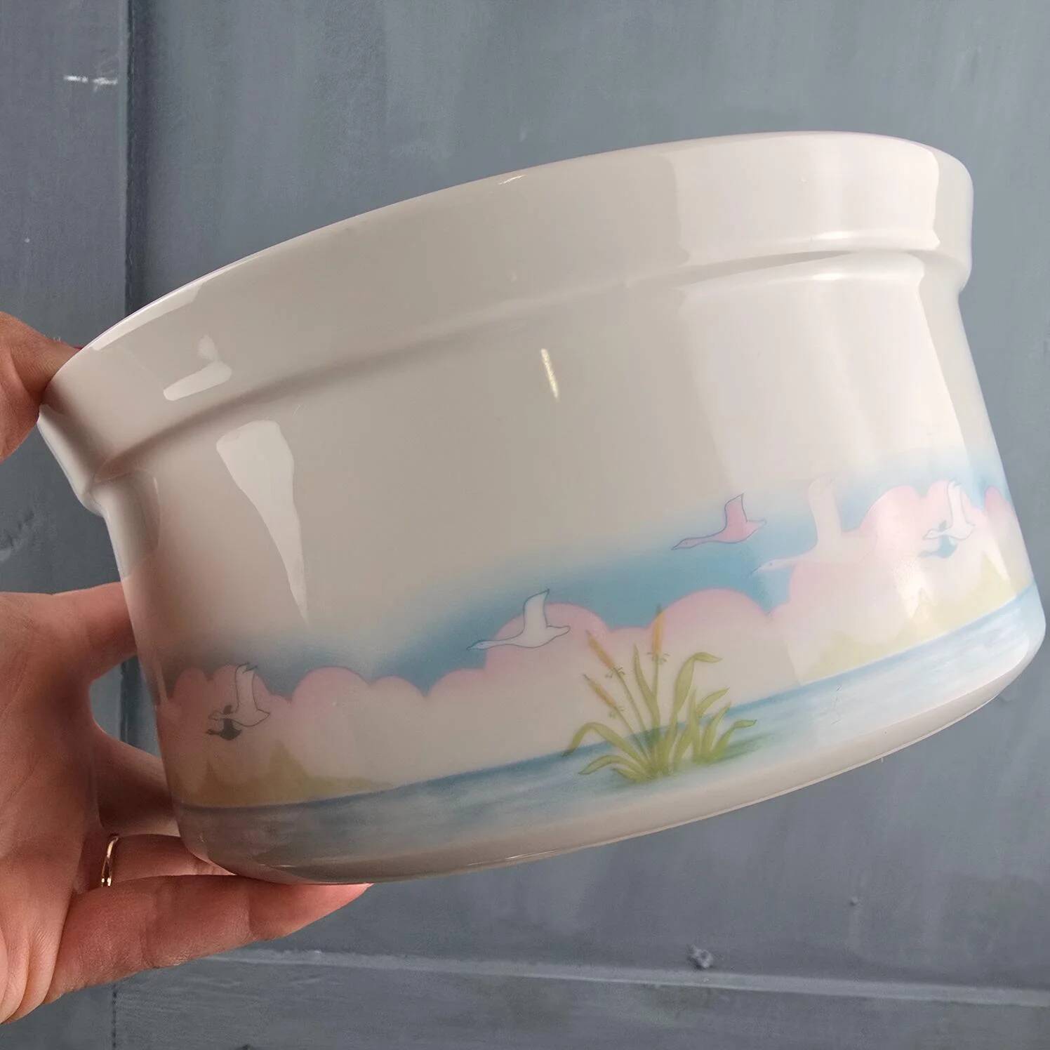 Sologne porcelain salad bowl with Camargue bird decoration, vintage, 23 cm.