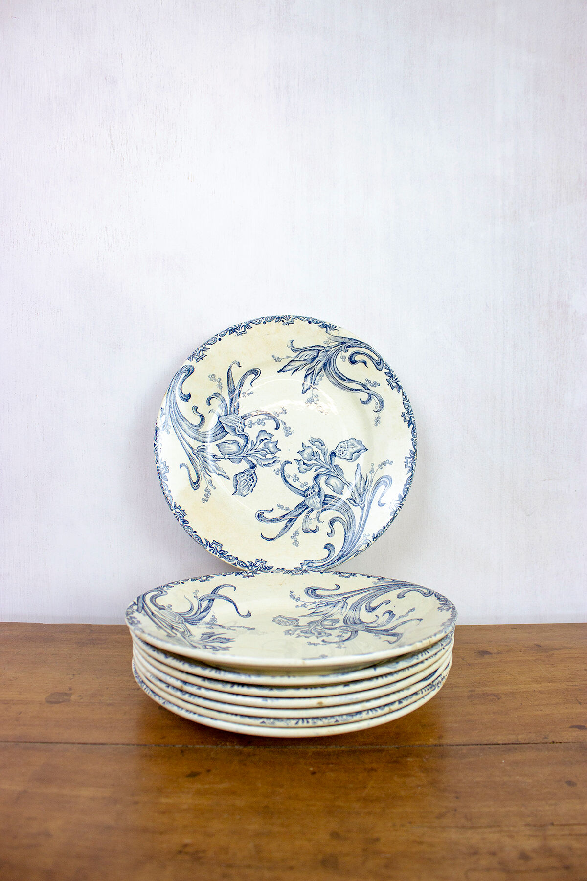 Lot de 8 assiettes plates terre de fer - modèles Iris - Léon Graves - Clairefontaine