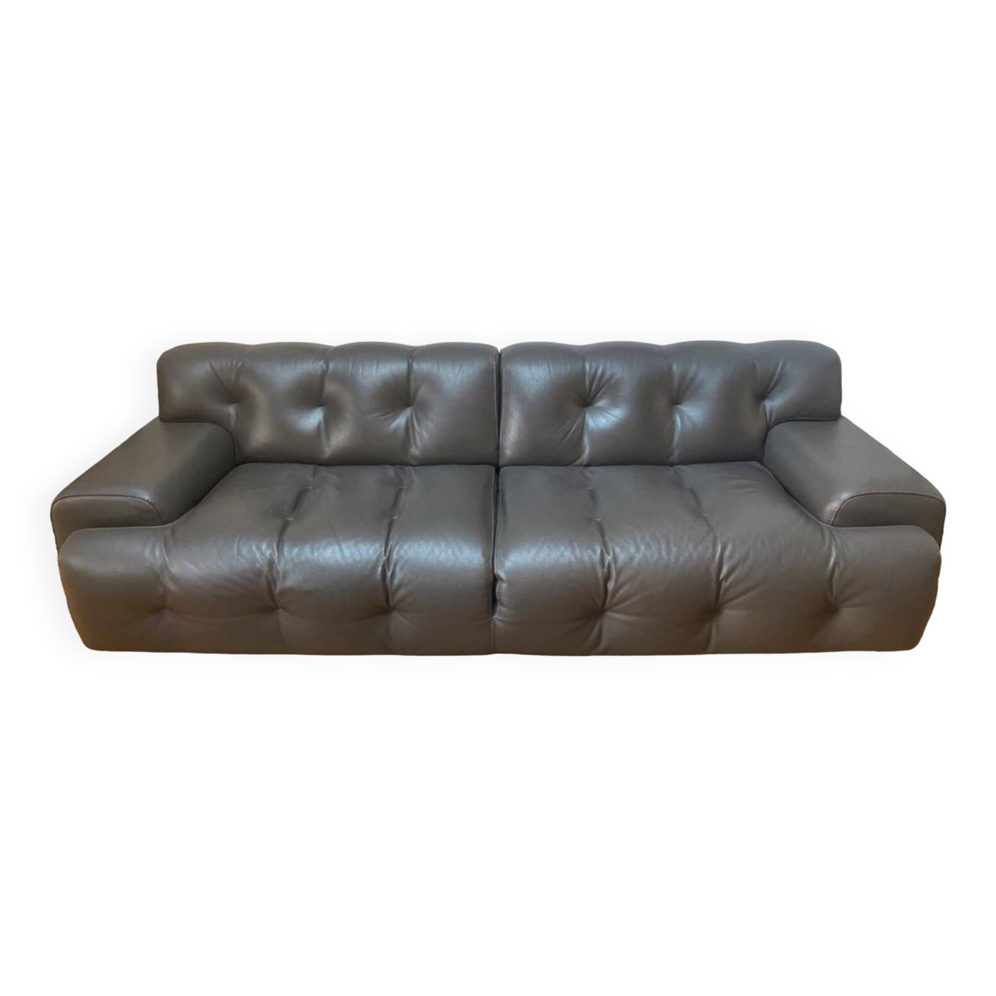 Roche Bobois Blogger Leather Sofa