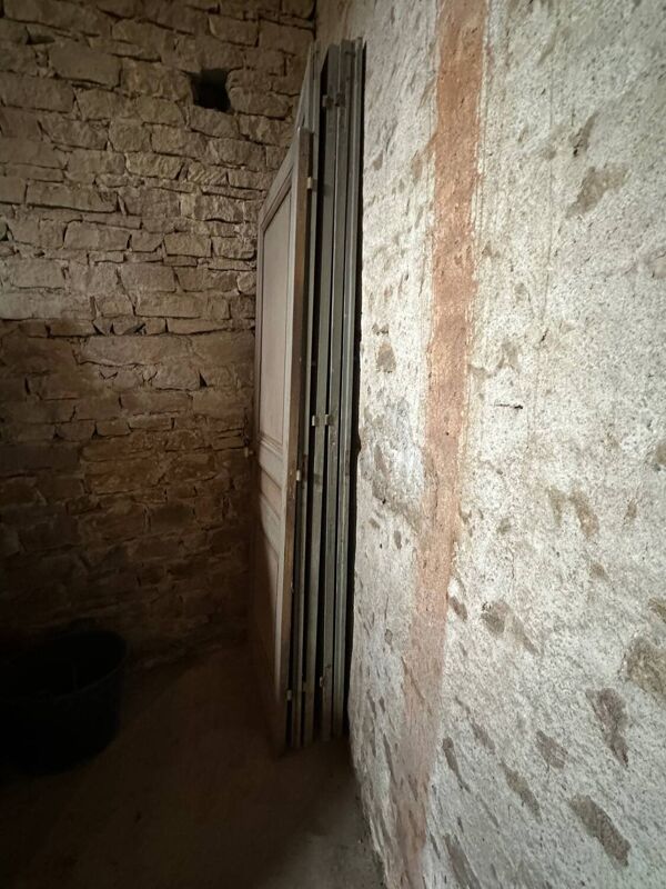 Lot de 4 portes anciennes en pin