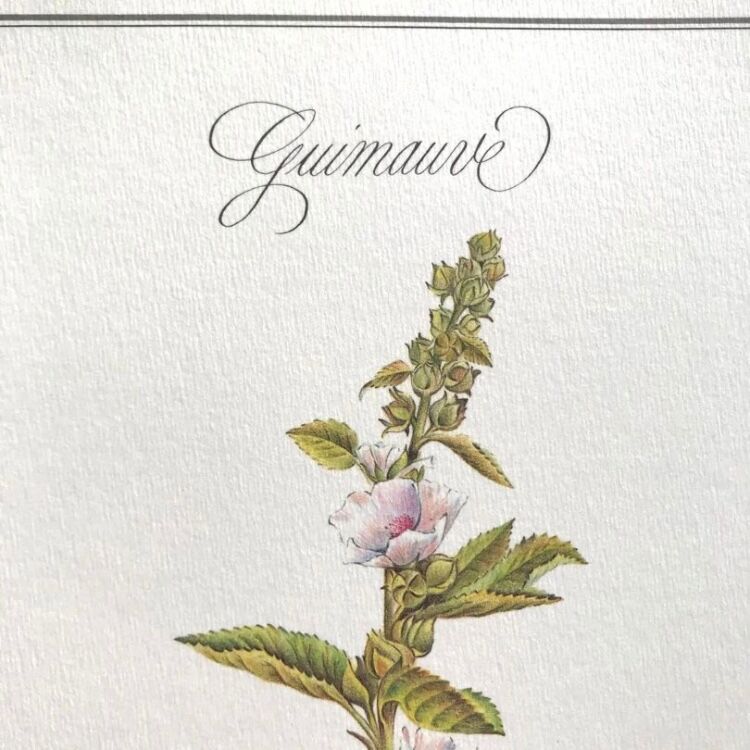 Botanical board the marshmallow