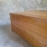 Les Arcs coffee table trunk