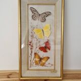 Vintage frame naturalized butterflies