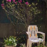 Fauteuils Mambo - Paulin / Massonet