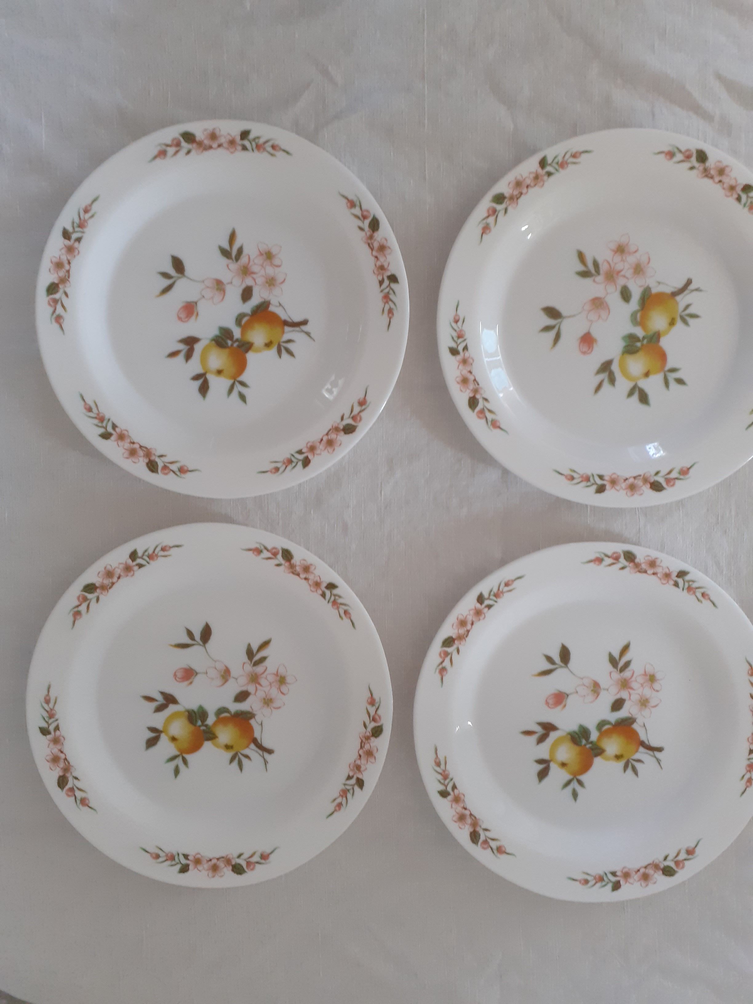 6 Flat plates Normandy apple decoration Arcopal france