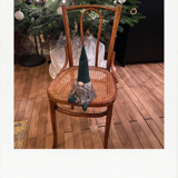 Bistro chair cannage