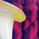 Murano glass vase