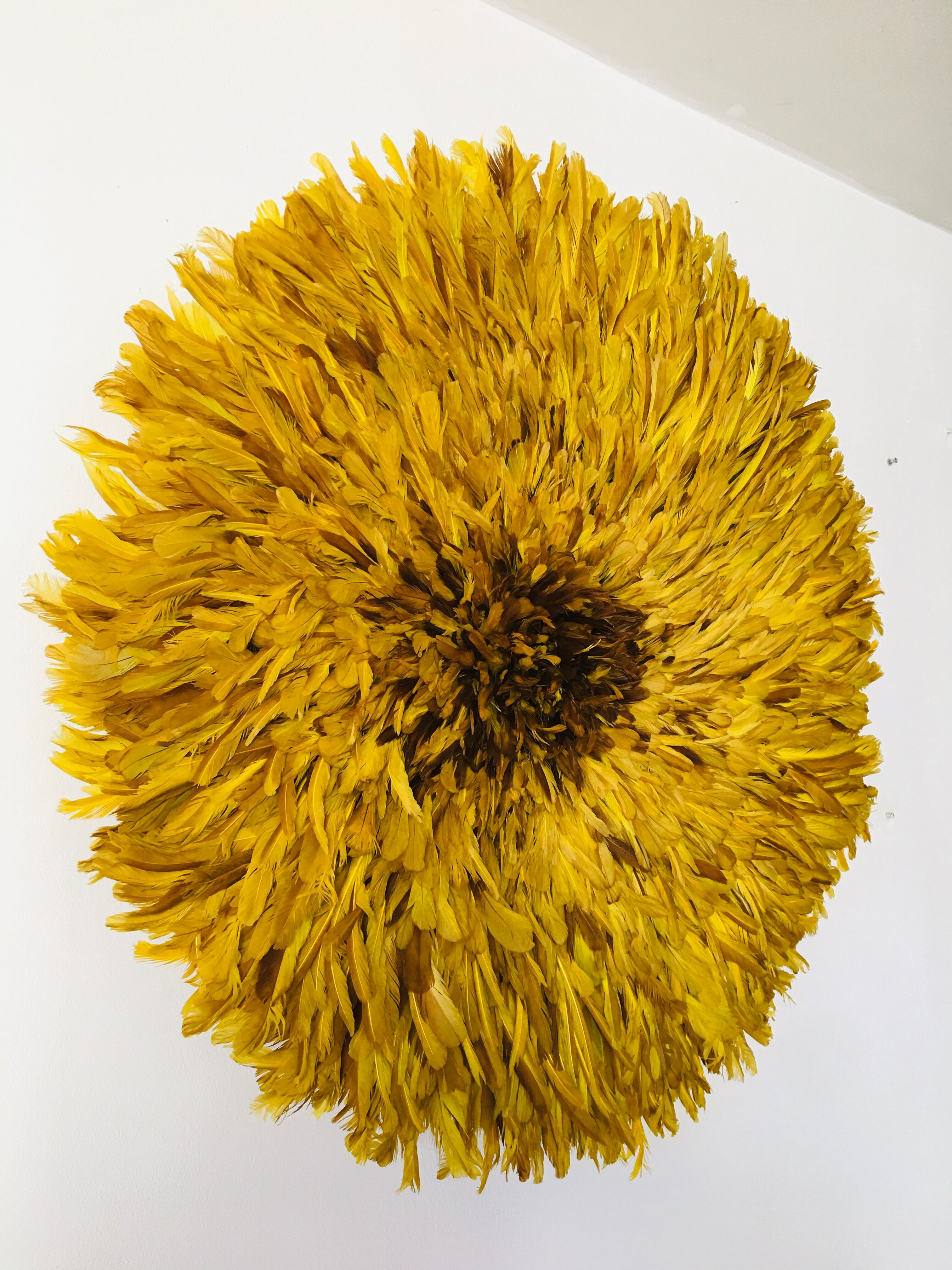 Yellow Jujuhat 80 cm