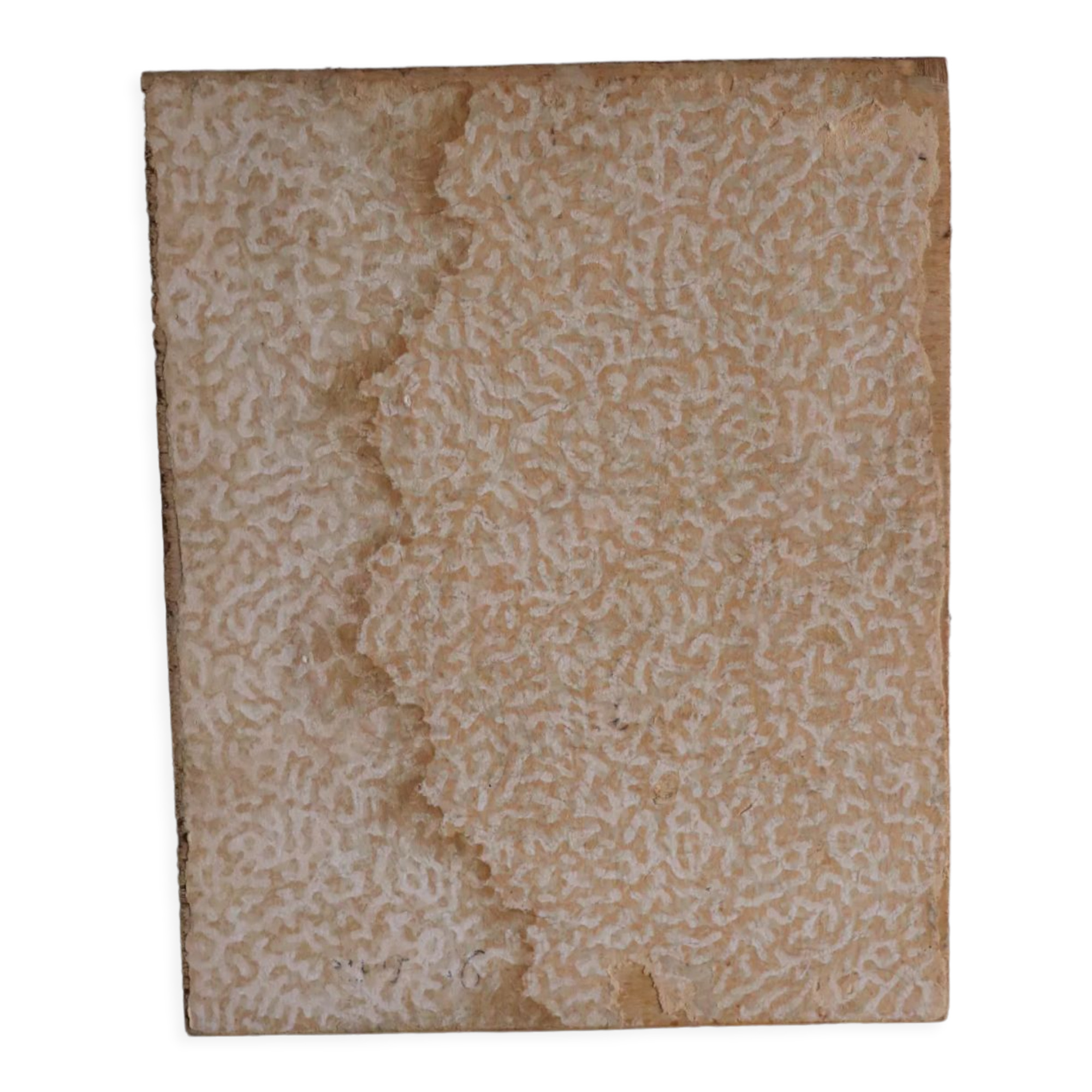 Bergère oil on panel Jean legros