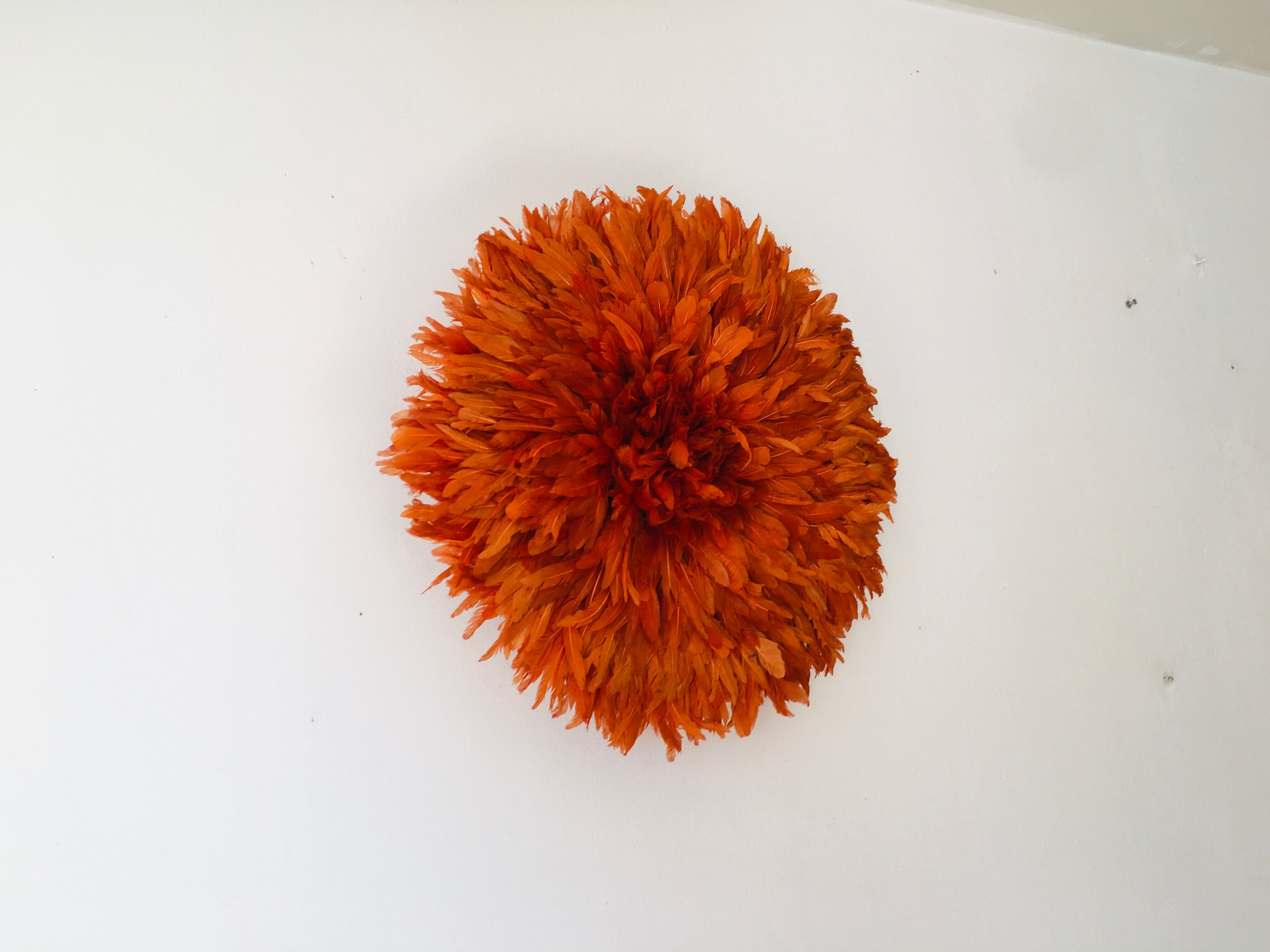 Jujuhat rouille 50 cm