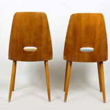 Pair of mid-century chairs from ONV Pisek, 1960s