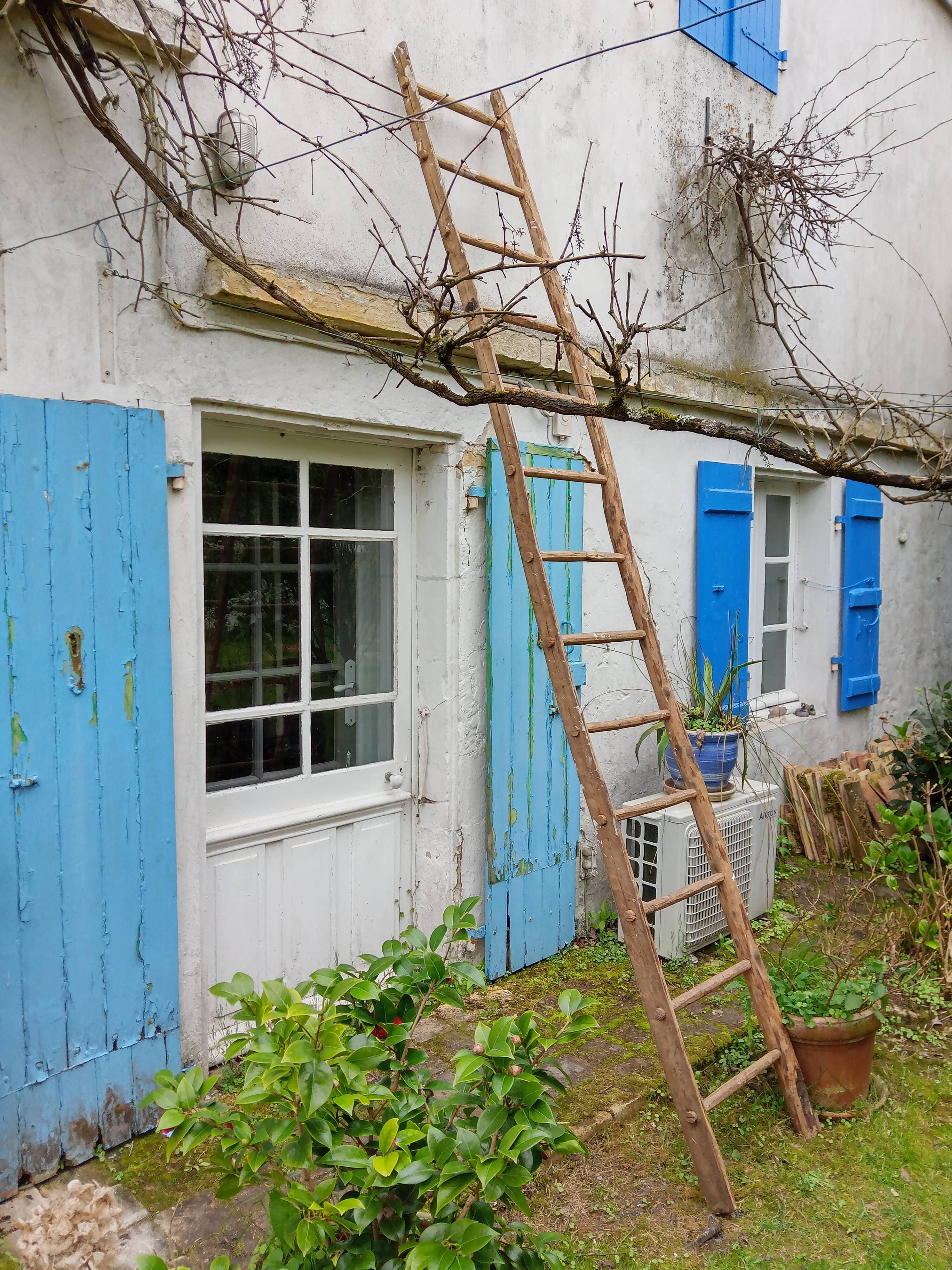 Old wood scale 3.2 m