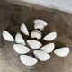 Set of 14 SEDAP plaster wall lights