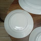 Lot 1 large oval dish and 3 bird plates Green background