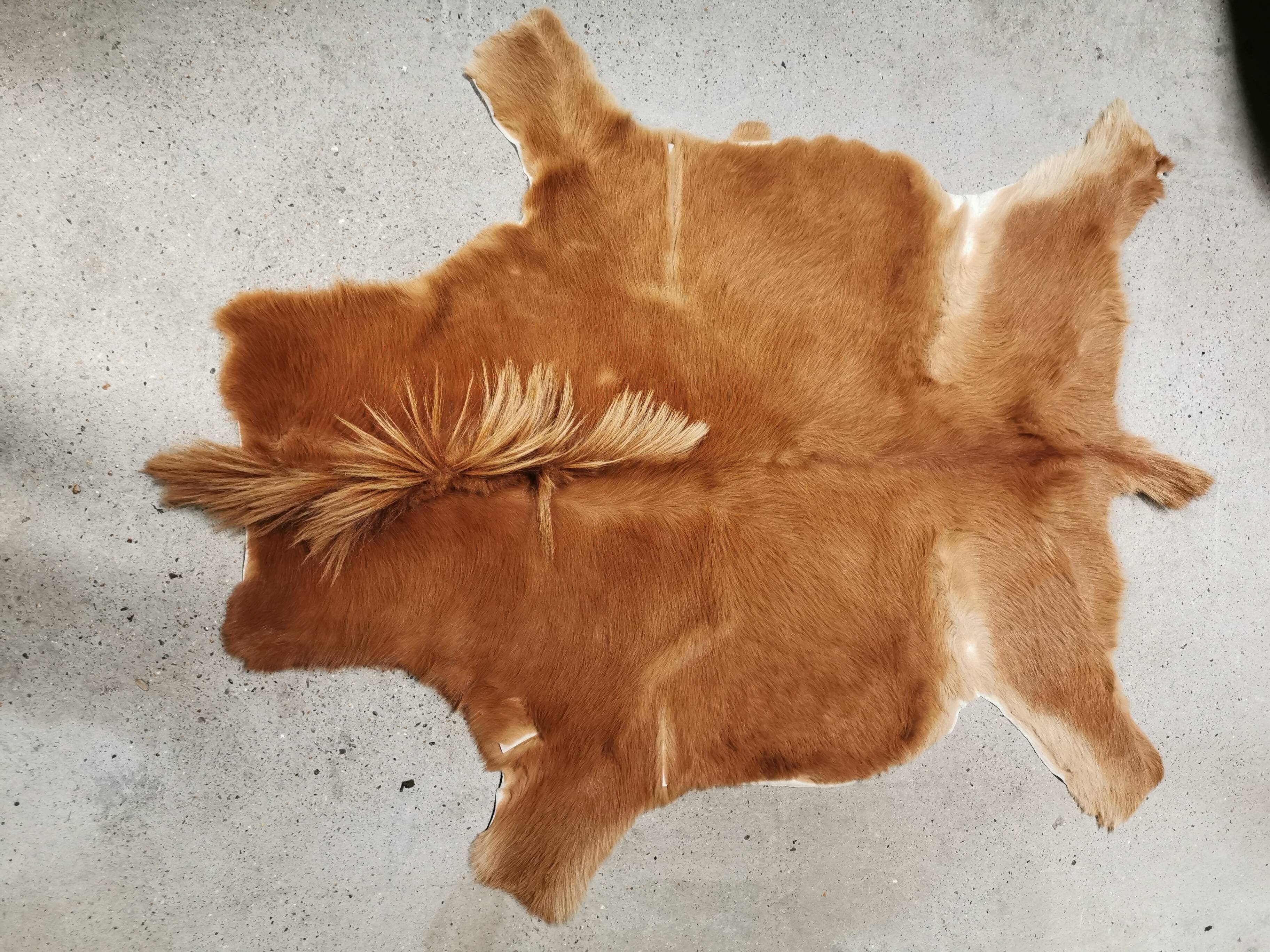 Vintage pony skin rug