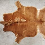 Vintage pony skin rug