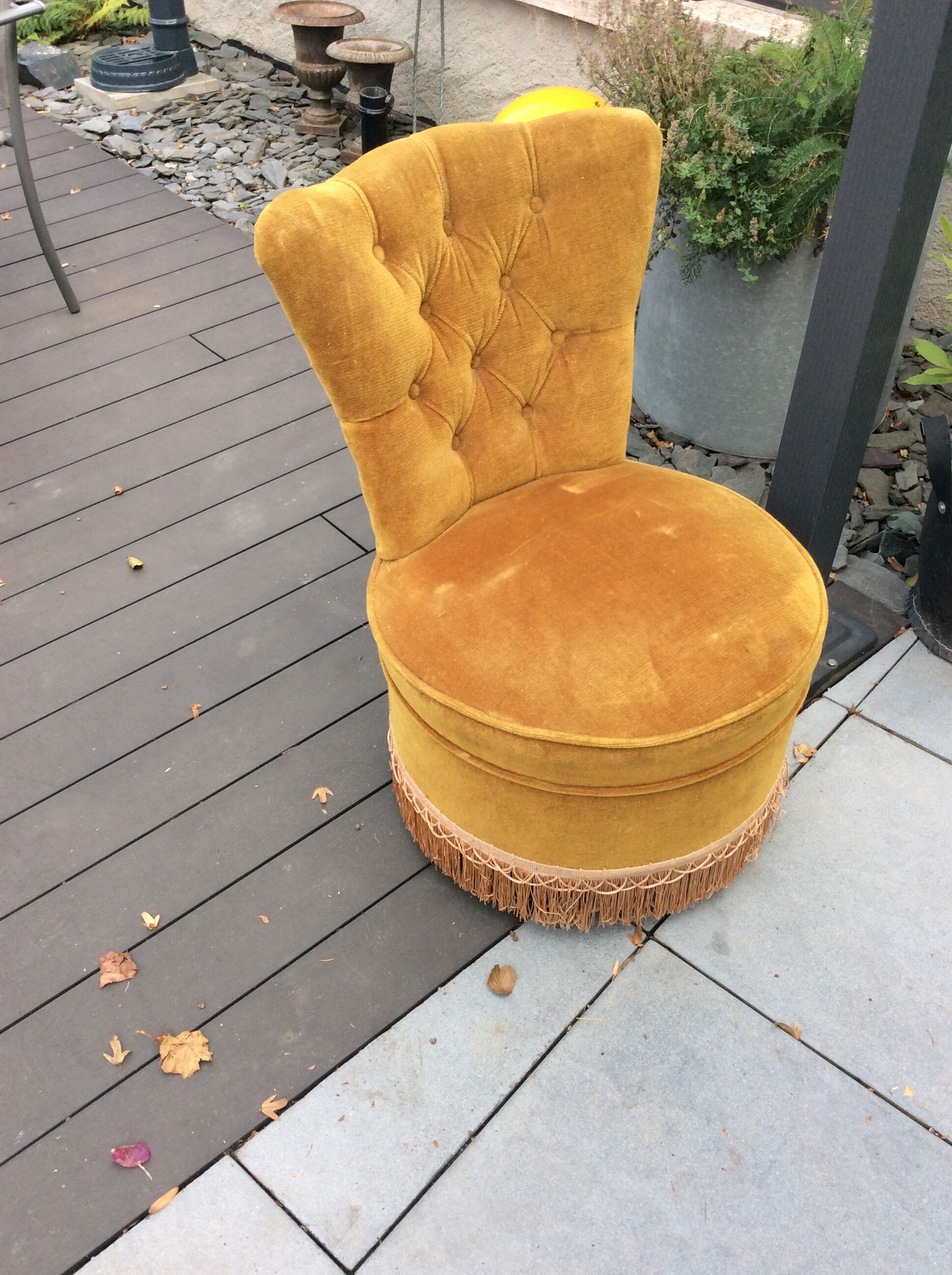 Toad armchair style Louis XV